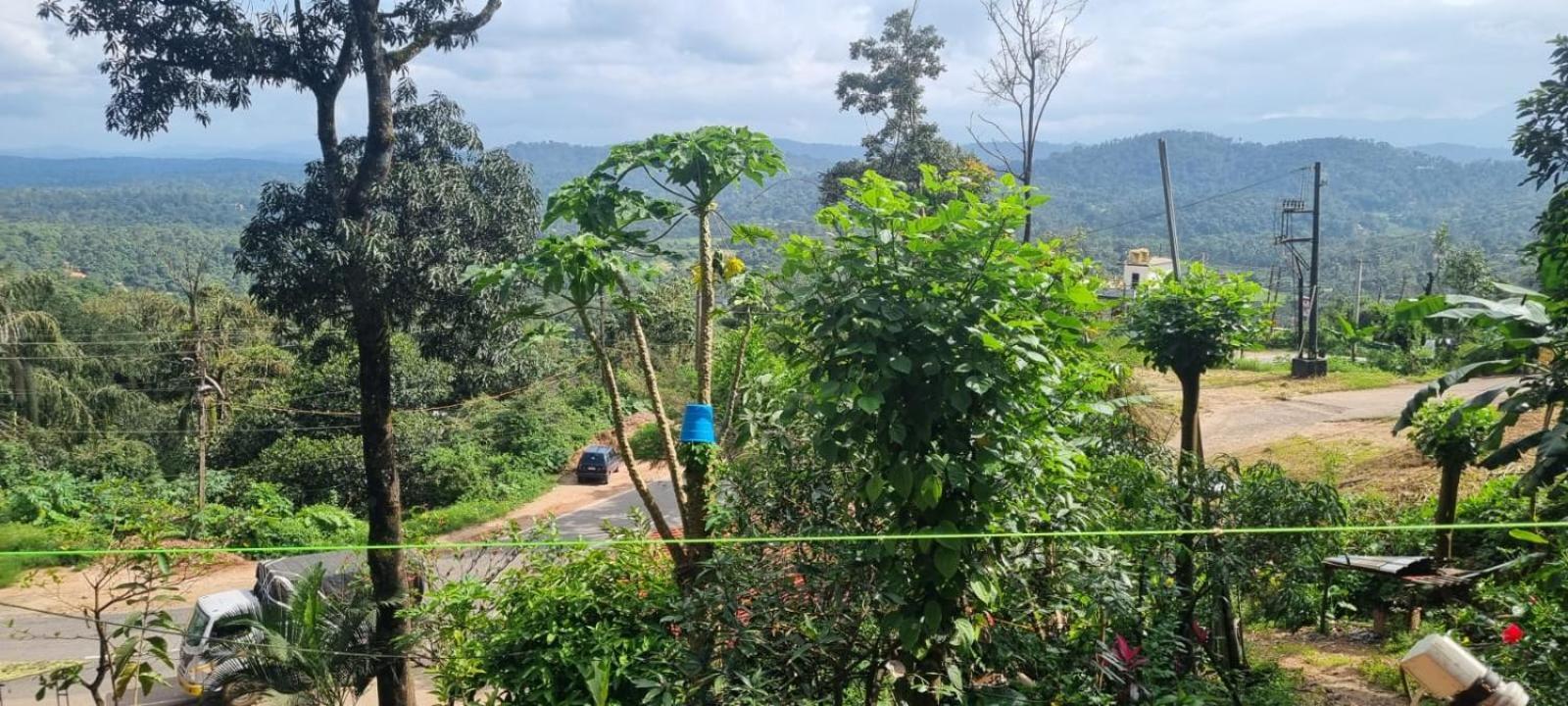 Danny'S Den Villa Madikeri Eksteriør billede